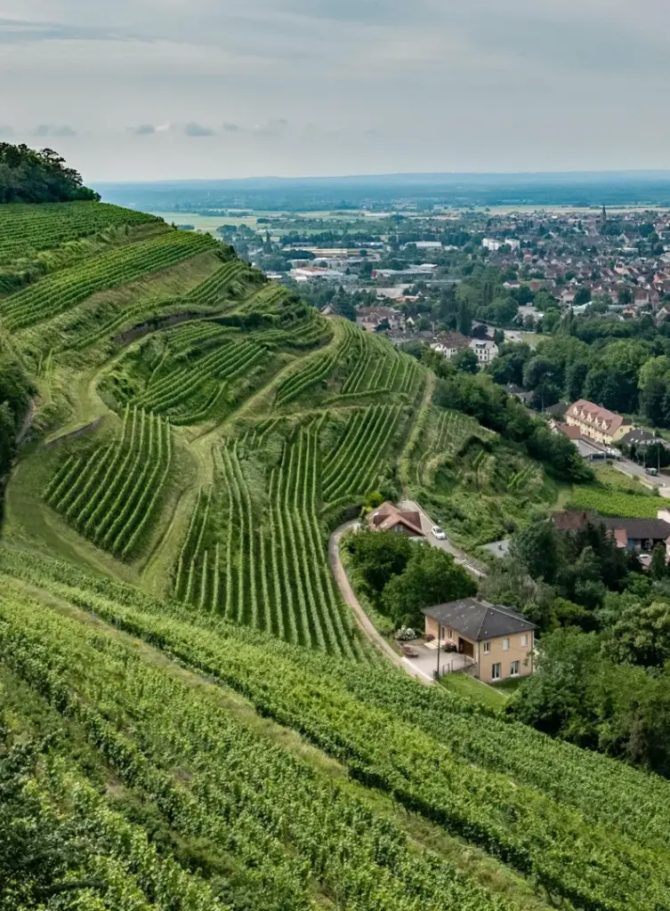 France Hosts G7 Foreign Ministers’ Meeting