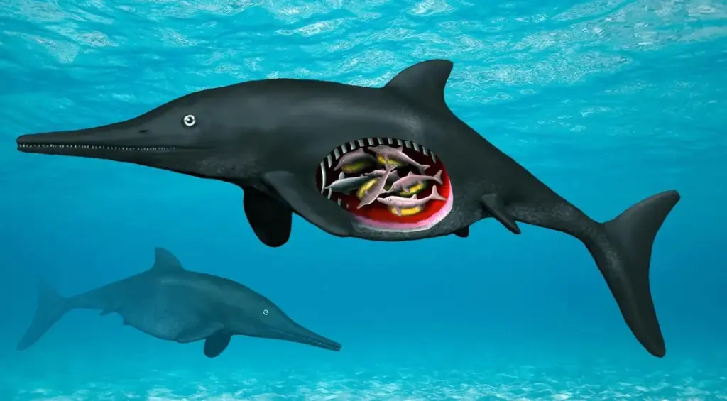 180 million year old ichthyosaur fossil discovery