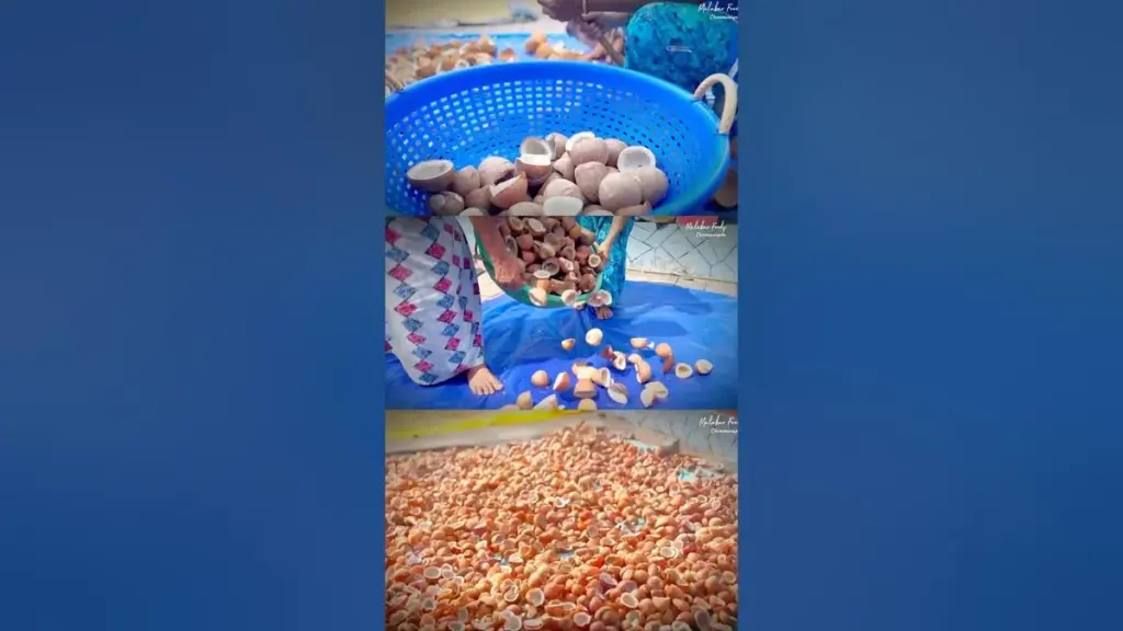വെളിച്ചെണ്ണ: Coconut Oil Prices in Kerala Hit by Market Manipulation