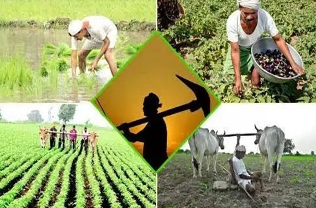 Agriculture Festival Celebrated Under Agricultural Minister’s Initiative